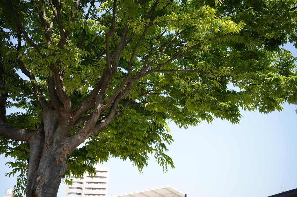 作業風景の画像